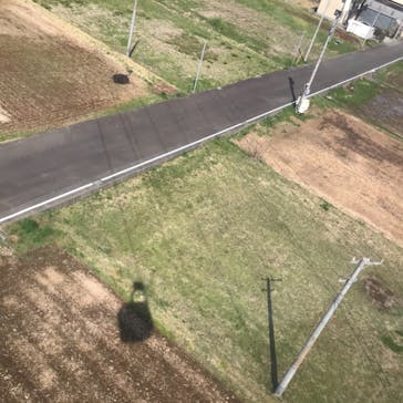 伊豆パノラマパークに投稿された画像（2022/4/2）