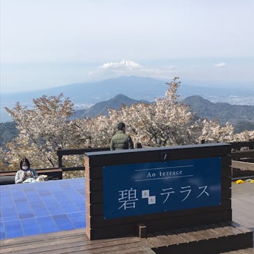 伊豆パノラマパークに投稿された画像（2022/4/2）