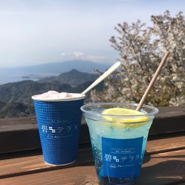 伊豆パノラマパークに投稿された画像（2022/4/2）