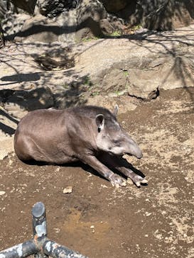 伊豆シャボテン動物公園に投稿された画像（2022/4/2）