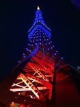 東京タワーに投稿された画像（2022/4/3）
