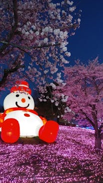 さがみ湖MORI MORIに投稿された画像（2022/4/3）