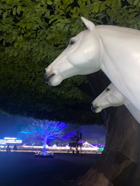 東京メガイルミに投稿された画像（2022/4/3）