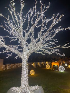 東京メガイルミに投稿された画像（2022/4/3）