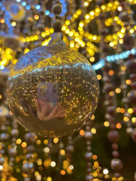 ひらかたパークに投稿された画像（2022/4/3）