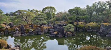 元離宮二条城に投稿された画像（2022/4/3）