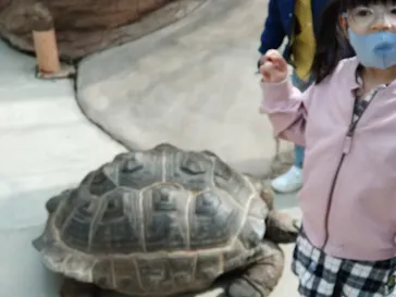 神戸どうぶつ王国に投稿された画像（2022/4/3）