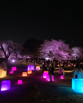 姫路城（イベント）に投稿された画像（2022/4/3）