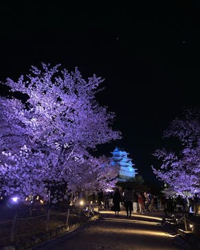 姫路城（イベント）に投稿された画像（2022/4/3）