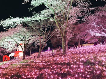 さがみ湖MORI MORIに投稿された画像（2022/4/3）