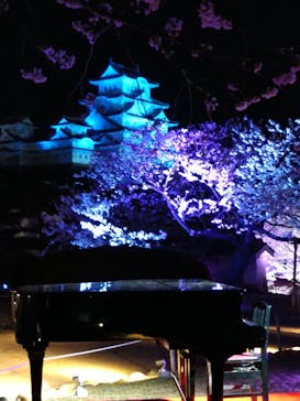 姫路城（イベント）に投稿された画像（2022/4/3）