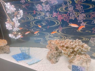 マクセル アクアパーク品川に投稿された画像（2022/4/3）