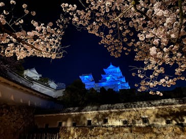 姫路城（イベント）に投稿された画像（2022/4/3）