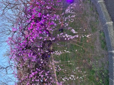 せんだい農業園芸センター　みどりの杜に投稿された画像（2022/4/3）