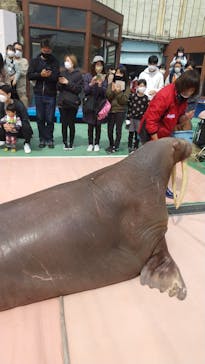 ゼロ距離水族館 伊勢シーパラダイスに投稿された画像（2022/4/3）