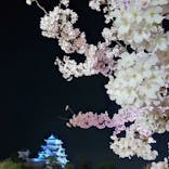 姫路城（イベント）に投稿された画像（2022/4/3）