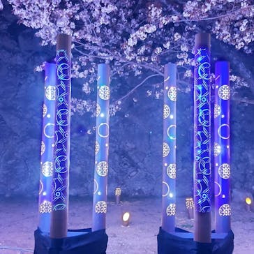 姫路城（イベント）に投稿された画像（2022/4/3）