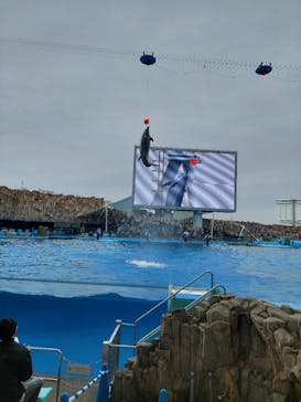 名古屋港水族館に投稿された画像（2022/4/3）