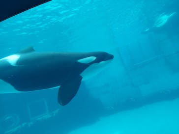 名古屋港水族館に投稿された画像（2022/4/3）