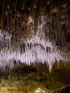 おきなわワールドに投稿された画像（2022/4/3）