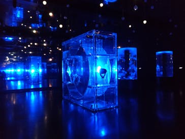 マクセル アクアパーク品川に投稿された画像（2022/4/3）