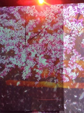 マクセル アクアパーク品川に投稿された画像（2022/4/3）