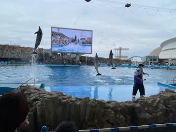 名古屋港水族館に投稿された画像（2022/4/3）