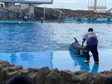 名古屋港水族館に投稿された画像（2022/4/3）