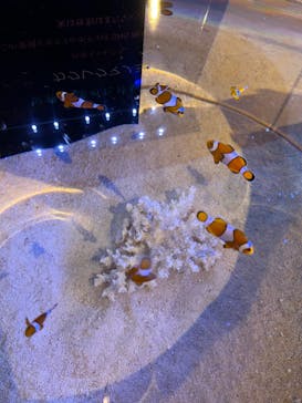 登別マリンパークニクスに投稿された画像（2022/4/3）