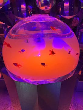 登別マリンパークニクスに投稿された画像（2022/4/3）