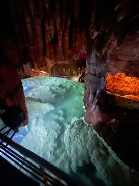 おきなわワールドに投稿された画像（2022/4/3）