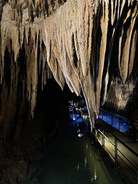 おきなわワールドに投稿された画像（2022/4/3）