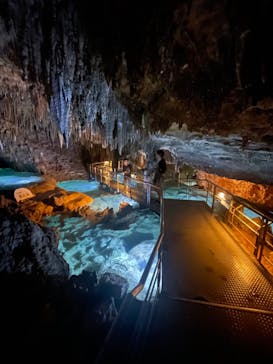 おきなわワールドに投稿された画像（2022/4/3）