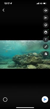 武藤潜水に投稿された画像（2022/4/3）