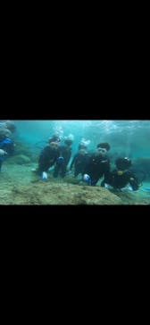 武藤潜水に投稿された画像（2022/4/3）