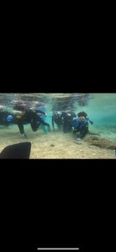 武藤潜水に投稿された画像（2022/4/3）