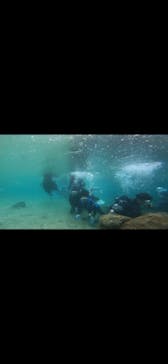 武藤潜水に投稿された画像（2022/4/3）