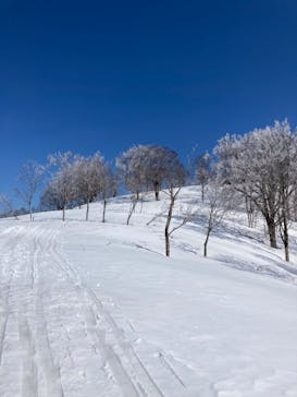 野沢温泉スキー場に投稿された画像（2022/4/3）