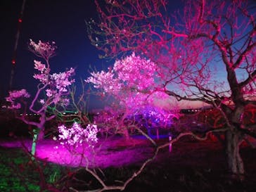 せんだい農業園芸センター　みどりの杜に投稿された画像（2022/4/3）