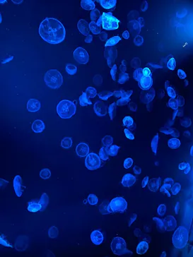 すみだ水族館に投稿された画像（2022/4/3）