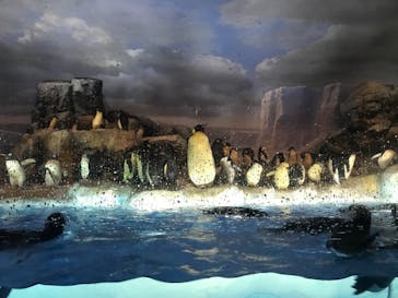 名古屋港水族館に投稿された画像（2022/4/3）