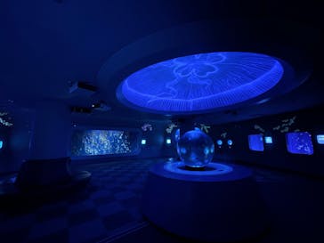 新江ノ島水族館に投稿された画像（2022/4/3）