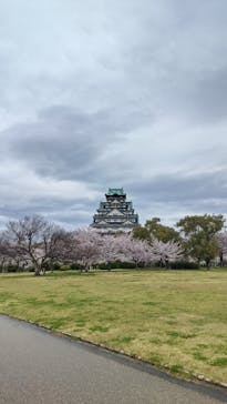 大阪城公園 西の丸庭園に投稿された画像（2022/4/3）