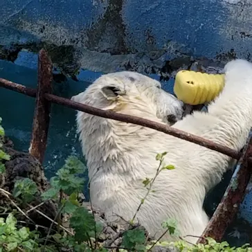 天王寺動物園に投稿された画像（2022/4/3）
