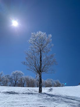 野沢温泉スキー場に投稿された画像（2022/4/3）