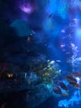 すみだ水族館に投稿された画像（2022/4/3）