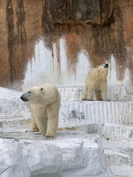 天王寺動物園に投稿された画像（2022/4/3）