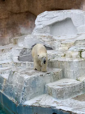 天王寺動物園に投稿された画像（2022/4/3）