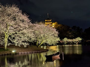 三溪園に投稿された画像（2022/4/3）