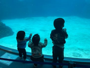 名古屋港水族館に投稿された画像（2022/4/3）